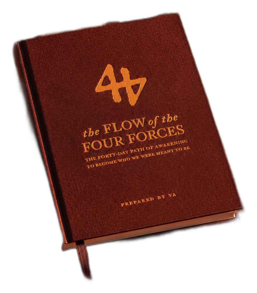 EDITION ONE